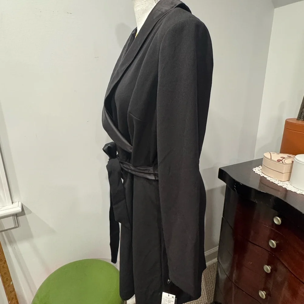 Adrianna Papell Elegant Black Dress with Satin Belt - Picture 6 of 12